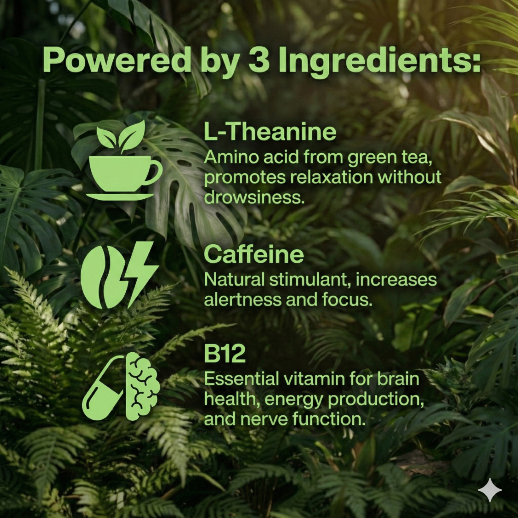 SELVA ingredients - L-Theanine 200mg, Caffeine 100mg, Vitamin B12 for clean energy